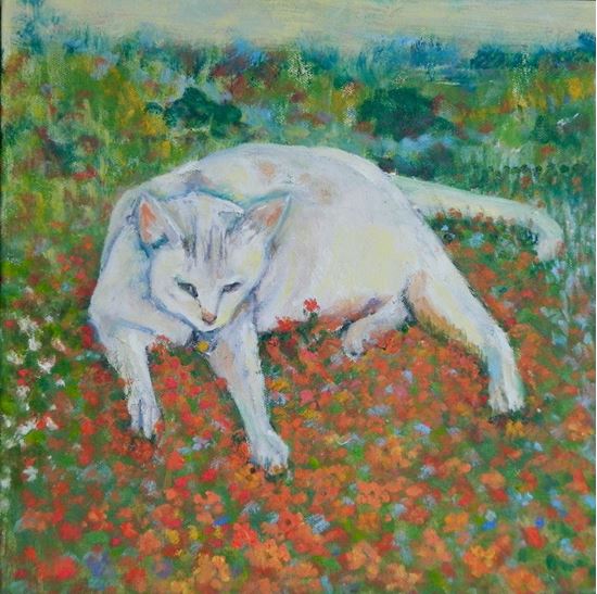 Picture of Monet's Cat