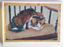 Picture of Box of Animal Note Cards