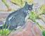 Picture of Molly